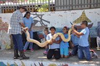 بالصور: فعاليات الرفق بالحيوان لطلاب مدرسة الأخوة العربية الابتدائية